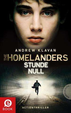 Cover of the book The Homelanders 1: Stunde Null by Gina Mayer, Niklas Schütte