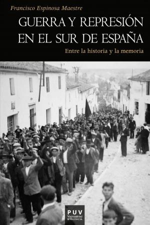 Book cover of Guerra y represión en el sur de España