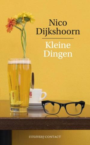 Cover of the book Kleine dingen by Danah Zohar