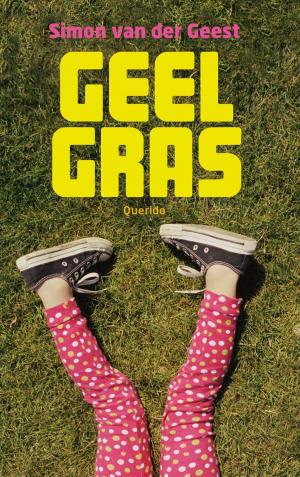 Cover of the book Geel gras by Annet de Jong