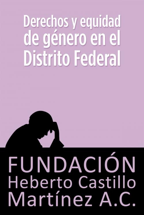 Cover of the book Derechos y equidad de género en el Distrito Federal by Fundación Heberto Castillo Martínez AC, María Consuelo Mejía, Jaime López Vela, Judith Vázquez, Ana Francis, Javier Cabral, María Eugenia Romero, Rosa María Yáñez, Oriana López, Xipatl Contreras, Rosa María Álvarez, Guadalupe Cabrera, Aquiles Colimoro, Dylcia García, Teresa Ulloa, Fundación Heberto Castillo Martínez A.C.