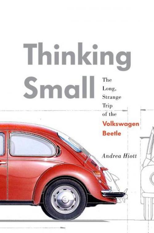 Cover of the book Thinking Small by Andrea Hiott, Random House Publishing Group