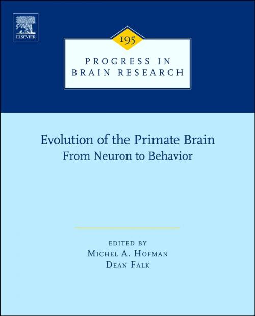 Cover of the book Evolution of the Primate Brain by Michel A. Hofman, Dean Falk, Elsevier Science