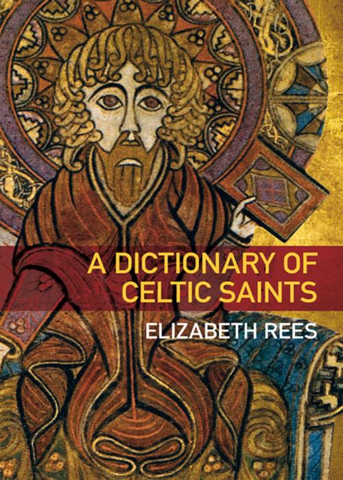 Cover of the book Dictionary of Celtic Saints by Elizabeth Rees, The History Press