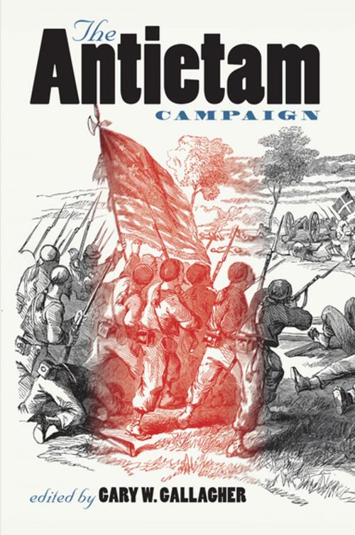 Cover of the book The Antietam Campaign by , The University of North Carolina Press