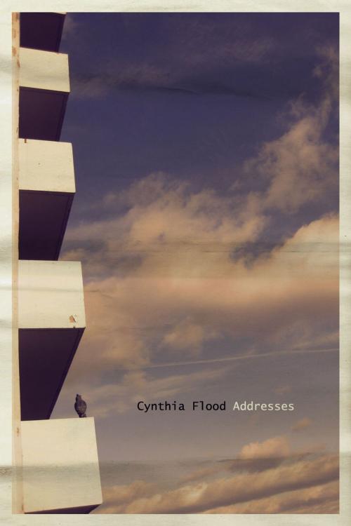 Cover of the book Addresses by Cynthia Flood, Found Press Media