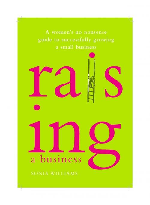 Cover of the book Raising a Business by Sonia Williams, Wiley