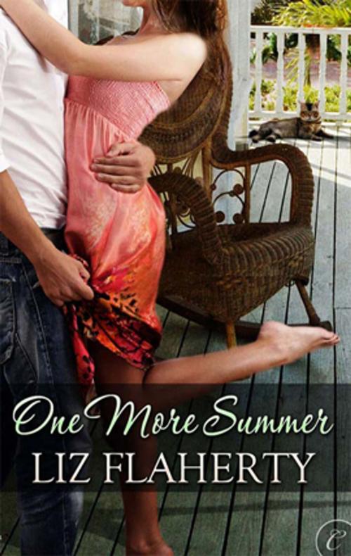 Cover of the book One More Summer by Liz Flaherty, Carina Press