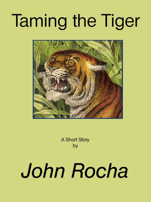 Cover of the book Taming The Tiger by John Rocha, John Rocha