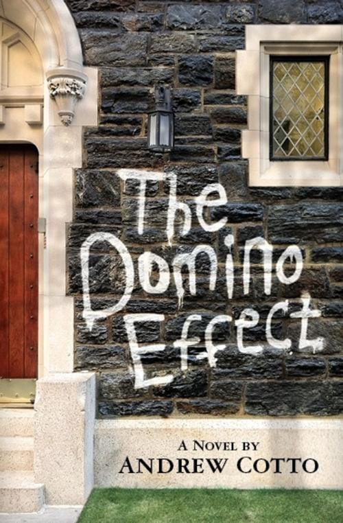 Cover of the book The Domino Effect by Andrew Cotto, Andrew Cotto