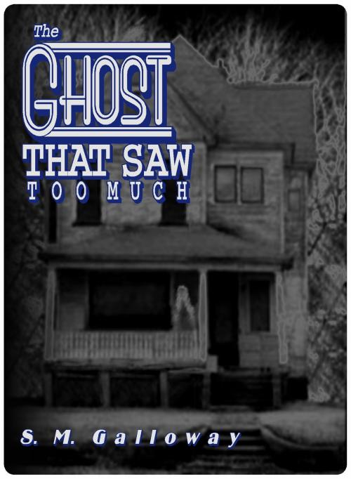 Cover of the book The Ghost That Saw Too Much by S.M. Galloway, S.M. Galloway