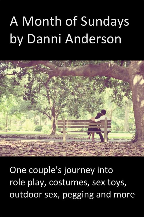 Cover of the book A Month of Sundays: One couple's journey into role play, costumes, sex toys, outdoor sex, pegging and more by Danni Anderson, Danni Anderson