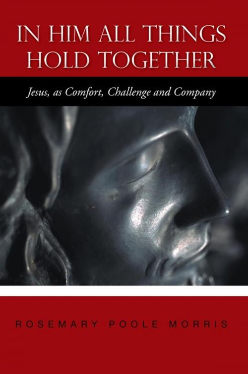 Cover of the book In Him All Things Hold Together by Rosemary Poole Morris, AuthorHouse