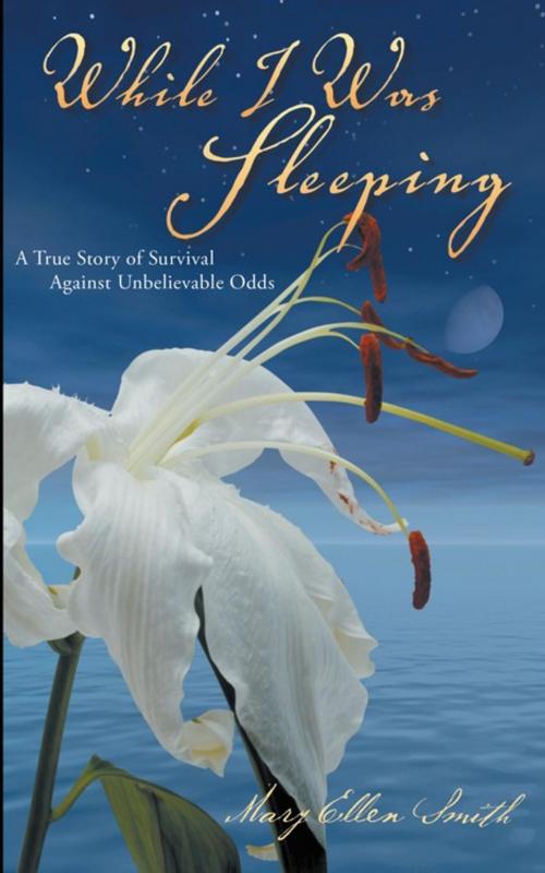 Cover of the book While I Was Sleeping by Mary Ellen Smith, AuthorHouse