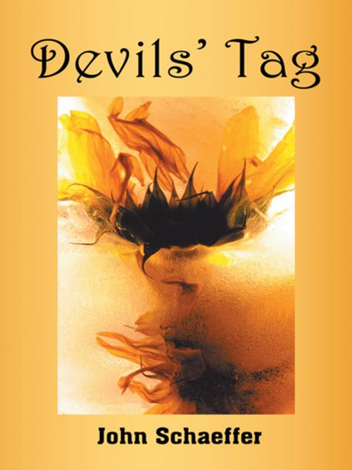 Cover of the book Devils' Tag by John Schaeffer, AuthorHouse