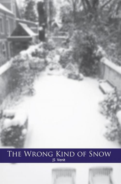 Cover of the book The Wrong Kind of Snow by JS Venit, Xlibris US