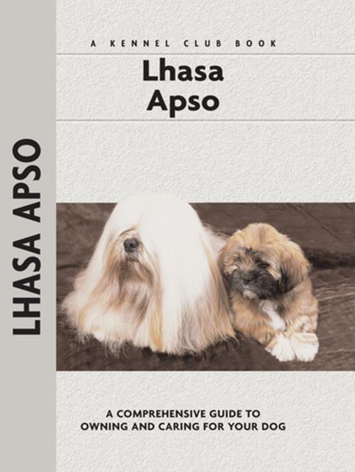 Cover of the book Lhasa Apso by Juliette Cunliffe, CompanionHouse Books