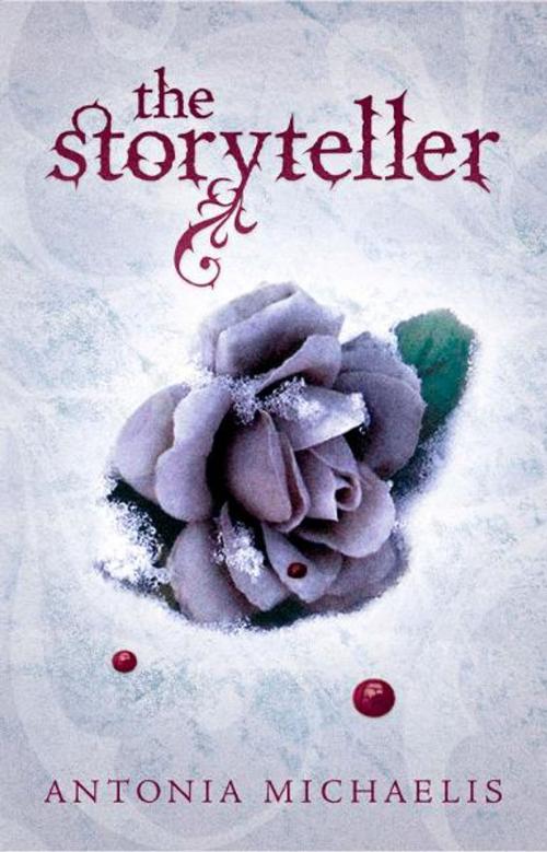 Cover of the book The Storyteller by Antonia Michaelis, ABRAMS