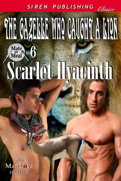 Cover of the book The Gazelle Who Caught a Lion by Scarlet Hyacinth, SirenBookStrand