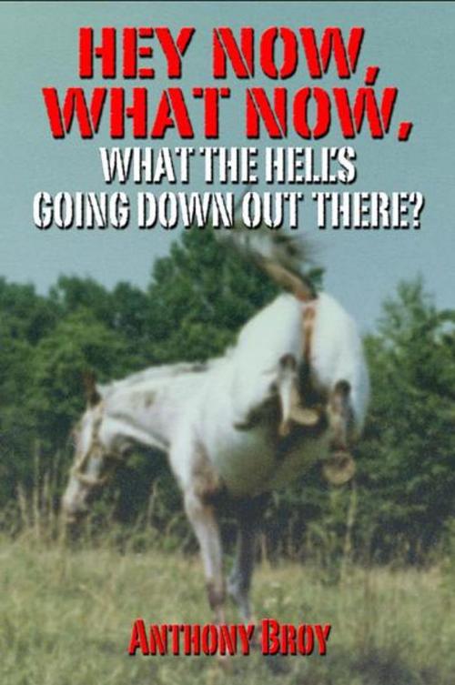 Cover of the book Hey Now, What Now by Anthony Broy, BookBaby