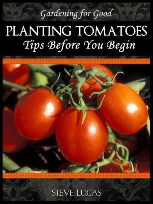 Cover of the book Planting Tomatoes by Steve Lucas, Denise Lorenz