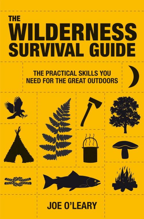 Cover of the book The Wilderness Survival Guide by Joe O'Leary, Watkins Media