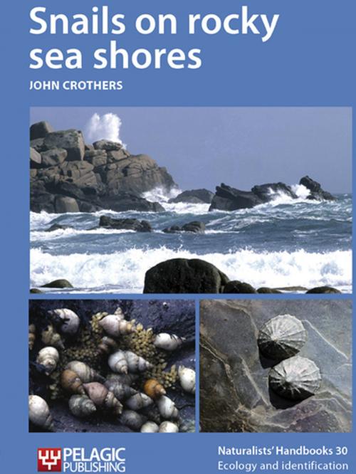 Cover of the book Snails on rocky sea shores by John Crothers, Pelagic Publishing