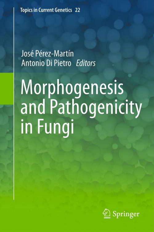 Cover of the book Morphogenesis and Pathogenicity in Fungi by , Springer Berlin Heidelberg