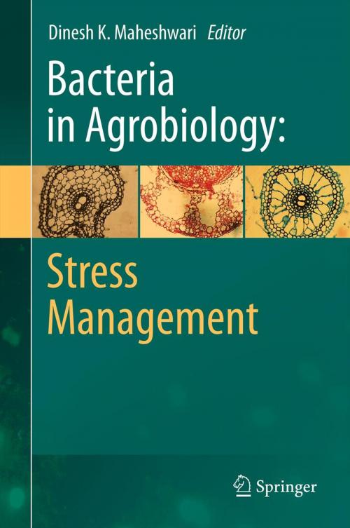 Cover of the book Bacteria in Agrobiology: Stress Management by , Springer Berlin Heidelberg