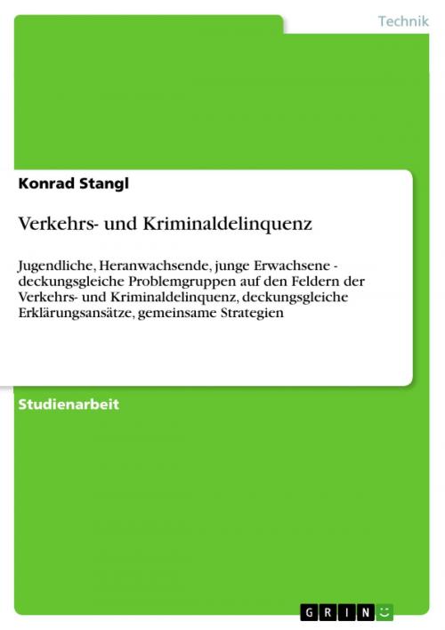 Cover of the book Verkehrs- und Kriminaldelinquenz by Konrad Stangl, GRIN Verlag