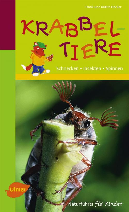 Cover of the book Naturführer für Kinder: Krabbeltiere by Frank und Katrin Hecker, Verlag Eugen Ulmer