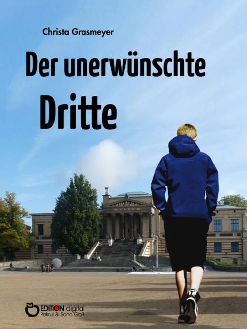 Cover of the book Der unerwünschte Dritte by Christa Grasmeyer, EDITION digital