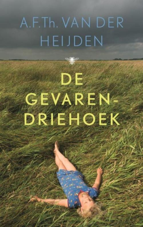 Cover of the book De gevarendriehoek by A.F.Th. van der Heijden, Singel Uitgeverijen