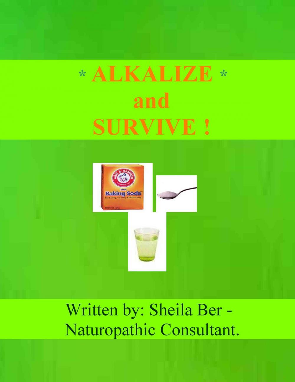 Big bigCover of ALKALIZE and SURVIVE! Chronic Diseases Help - by SHEILA BER - Naturopathic Consultant.