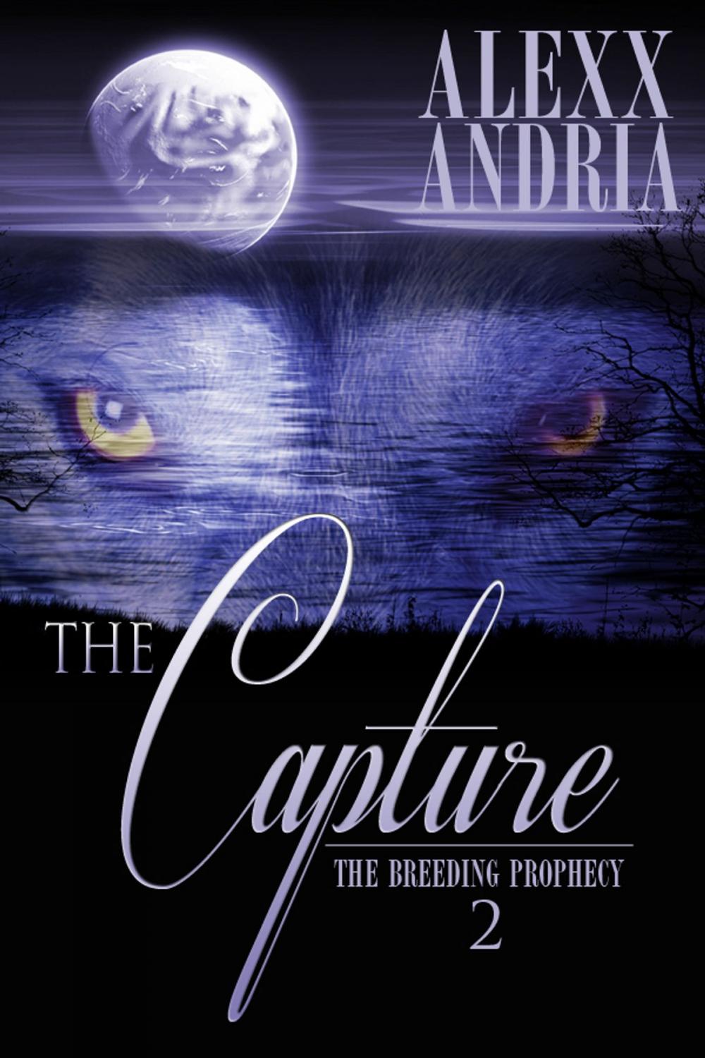 Big bigCover of The Capture