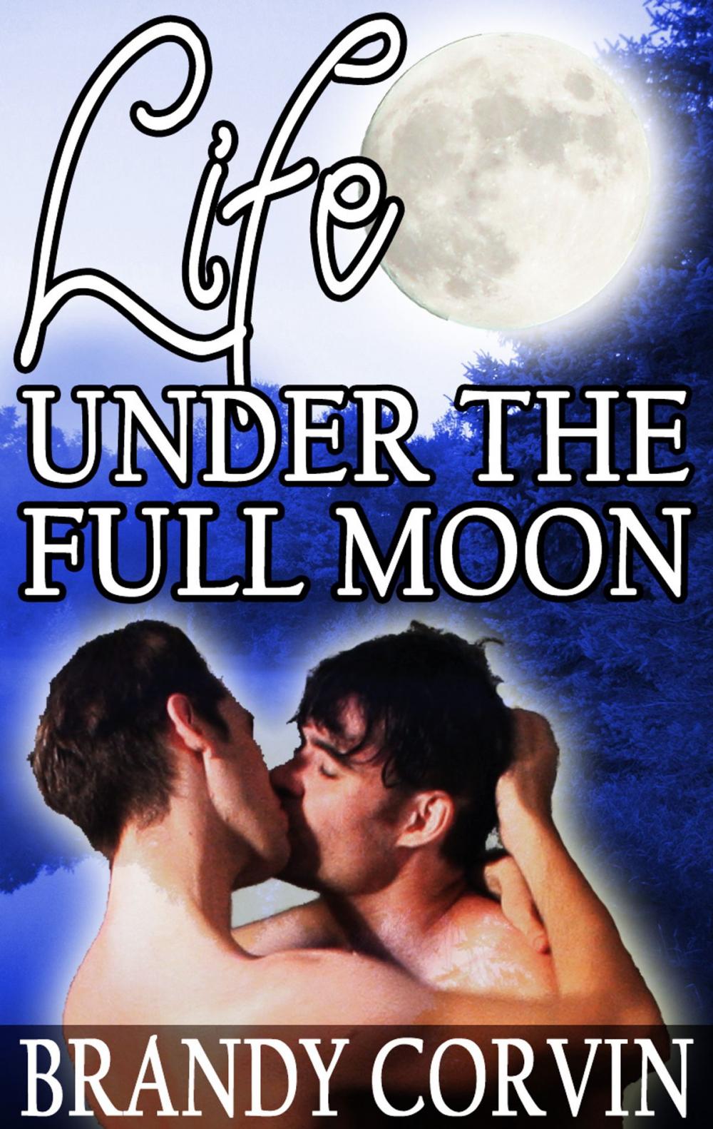 Big bigCover of Life Under the Full Moon