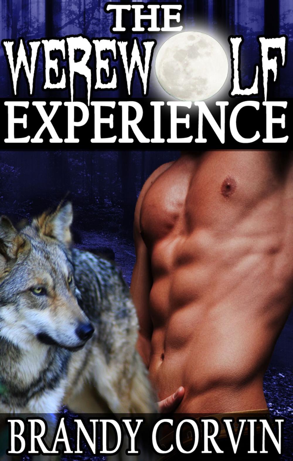 Big bigCover of The Werewolf Experience