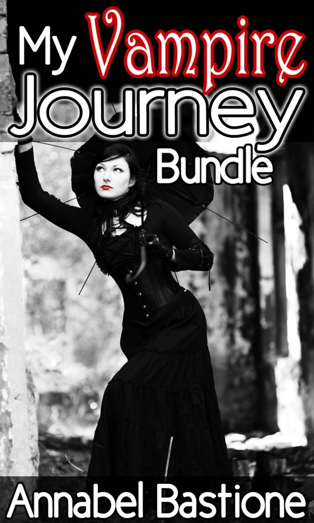 Big bigCover of My Vampire Journey Bundle