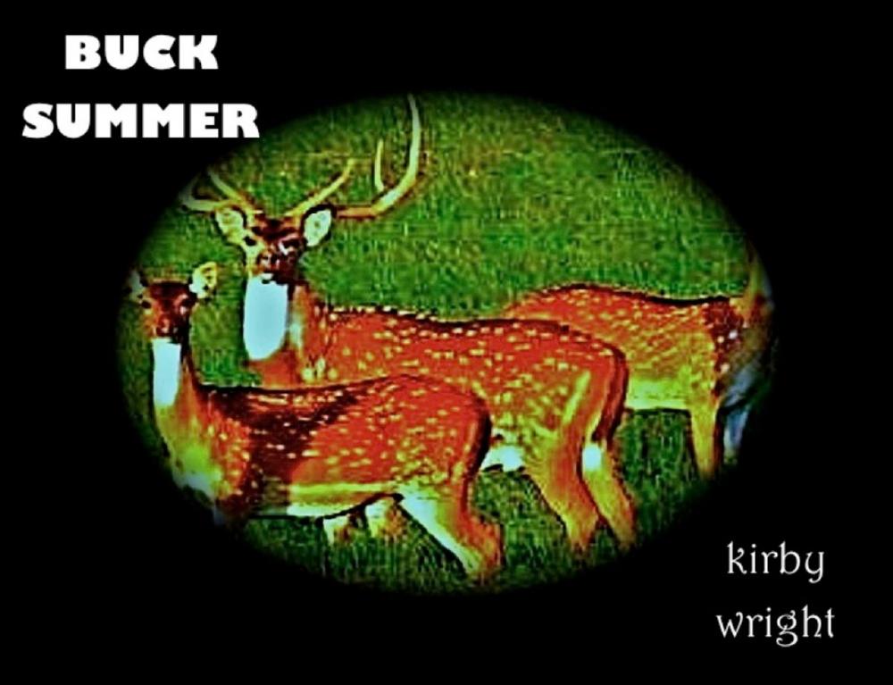 Big bigCover of Buck Summer