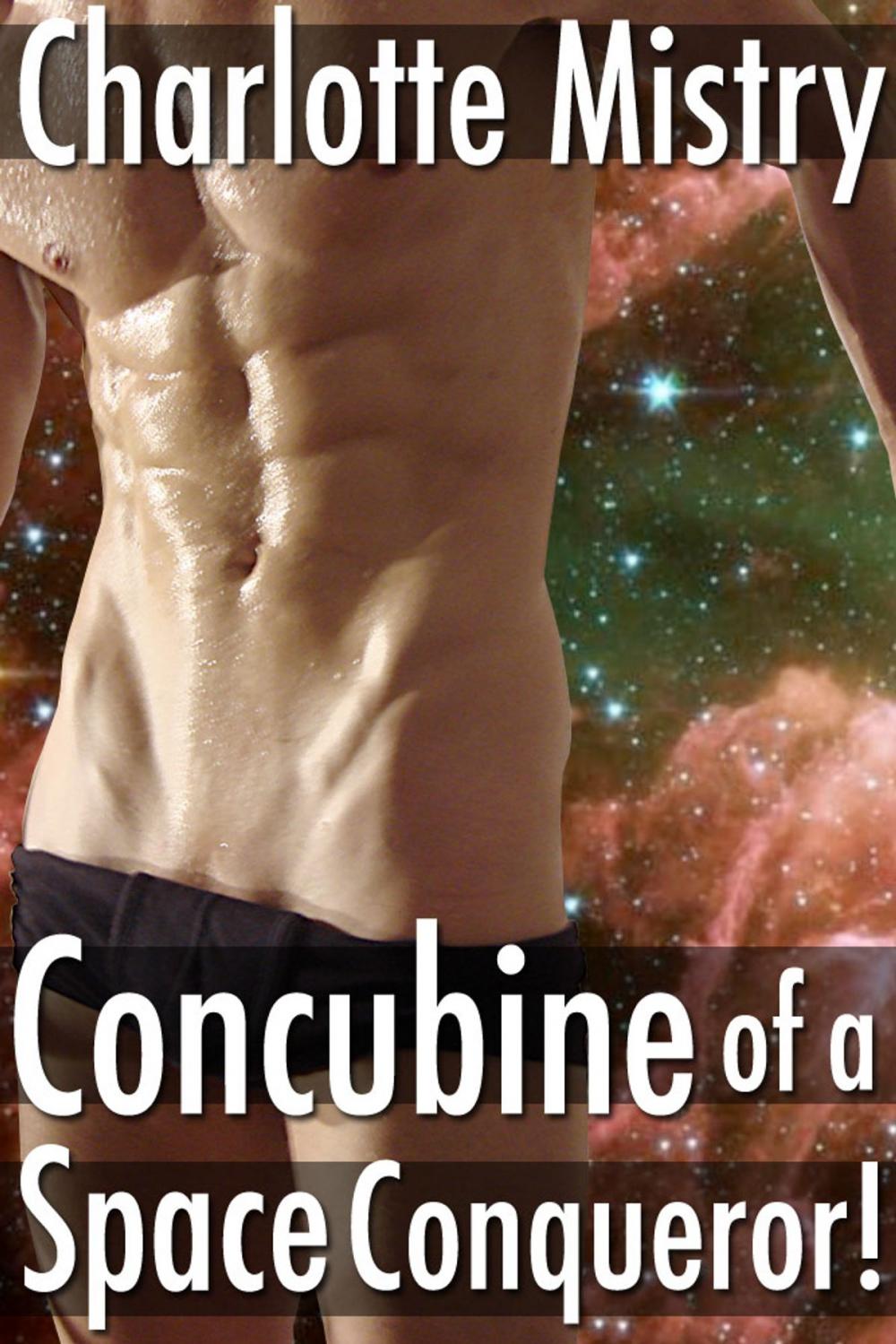 Big bigCover of Concubine of a Space Conqueror!