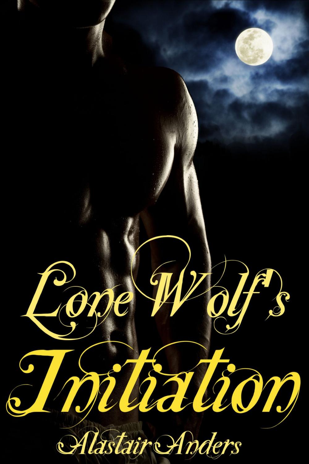 Big bigCover of Lone Wolf's Initiation