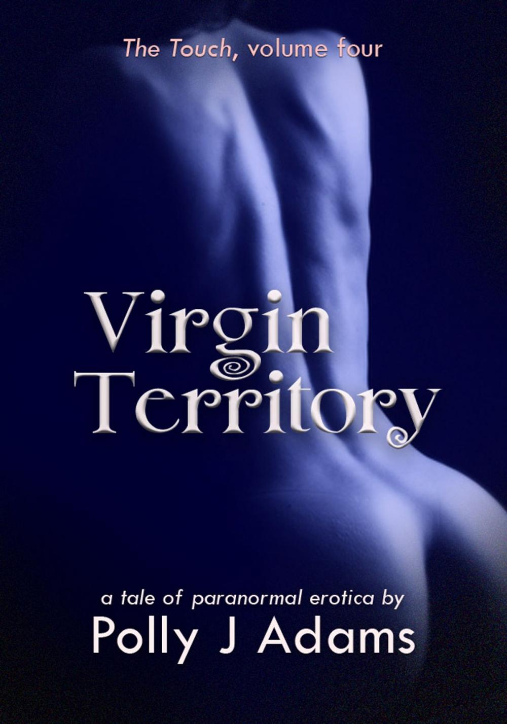 Big bigCover of Virgin Territory