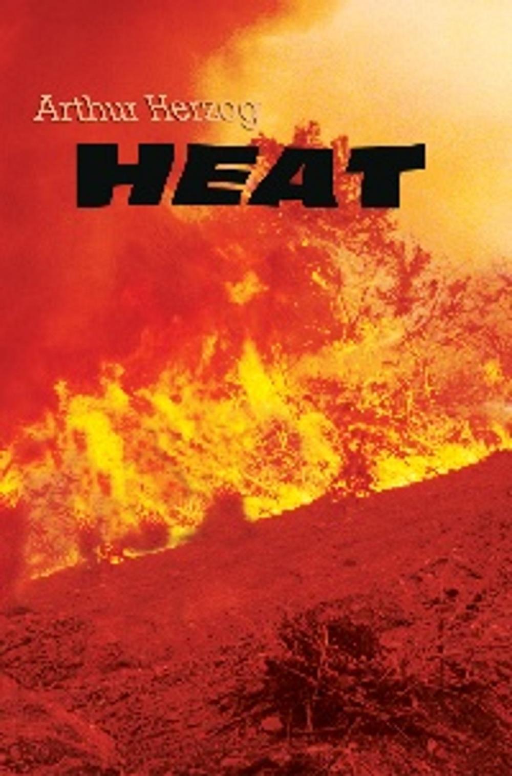 Big bigCover of HEAT