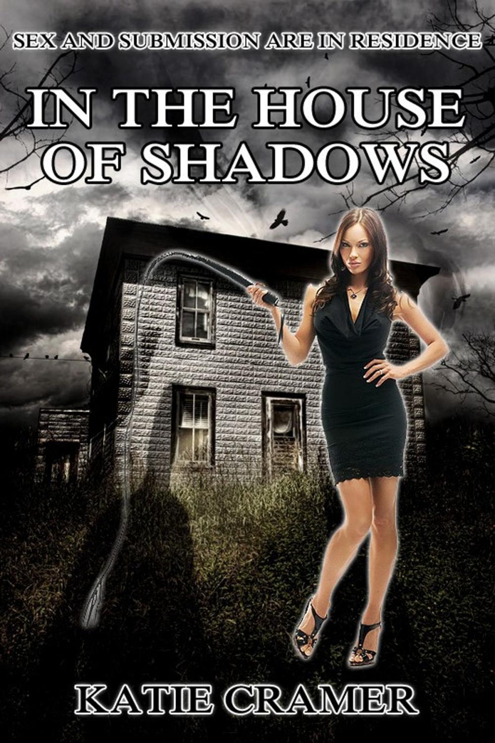 Big bigCover of In The House Of Shadows