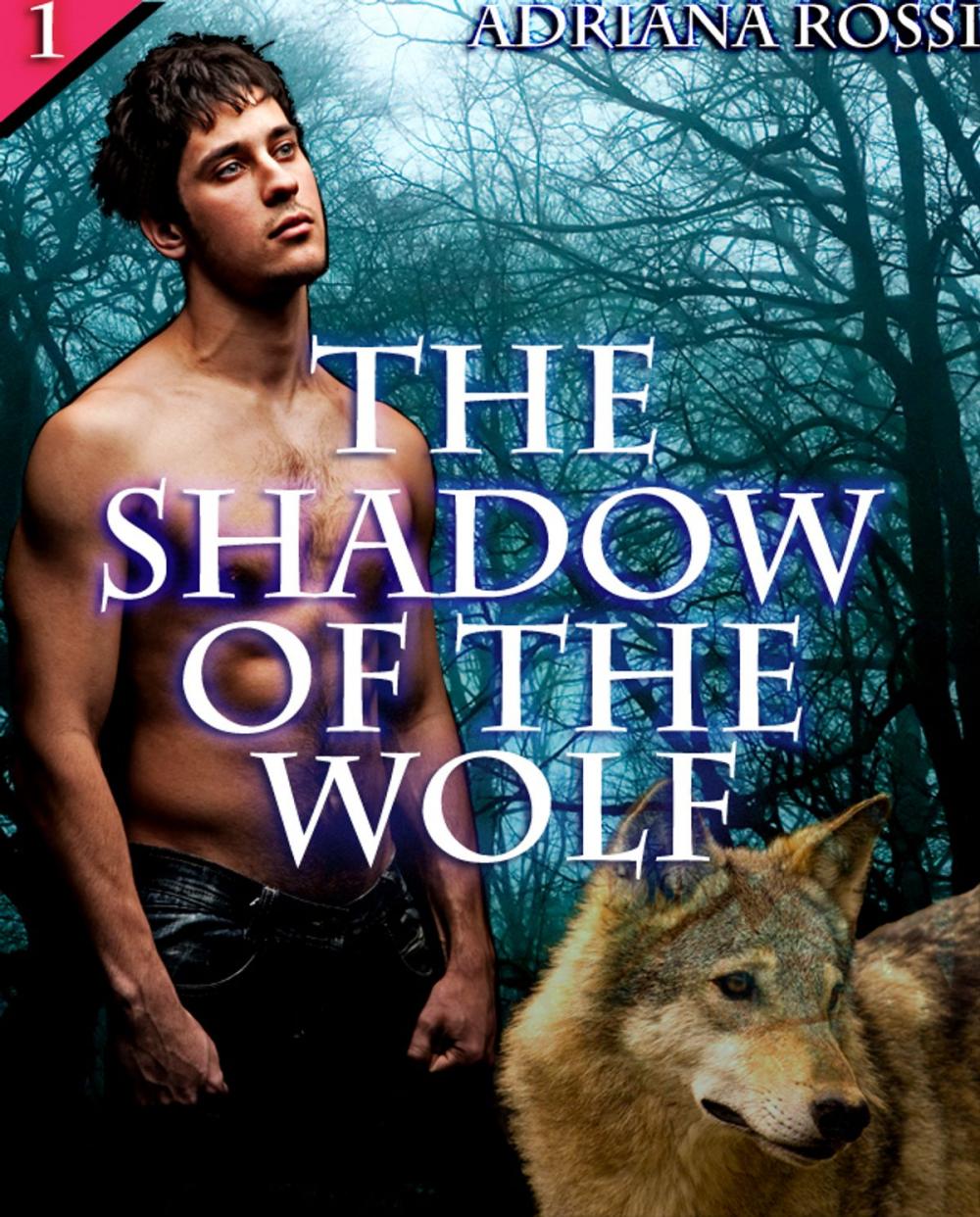 Big bigCover of The Shadow of the Wolf