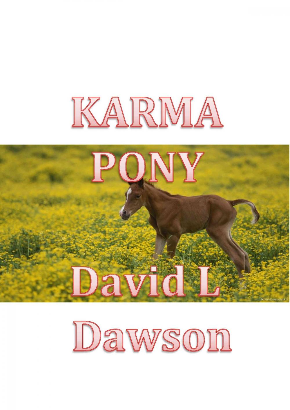Big bigCover of Karma Pony
