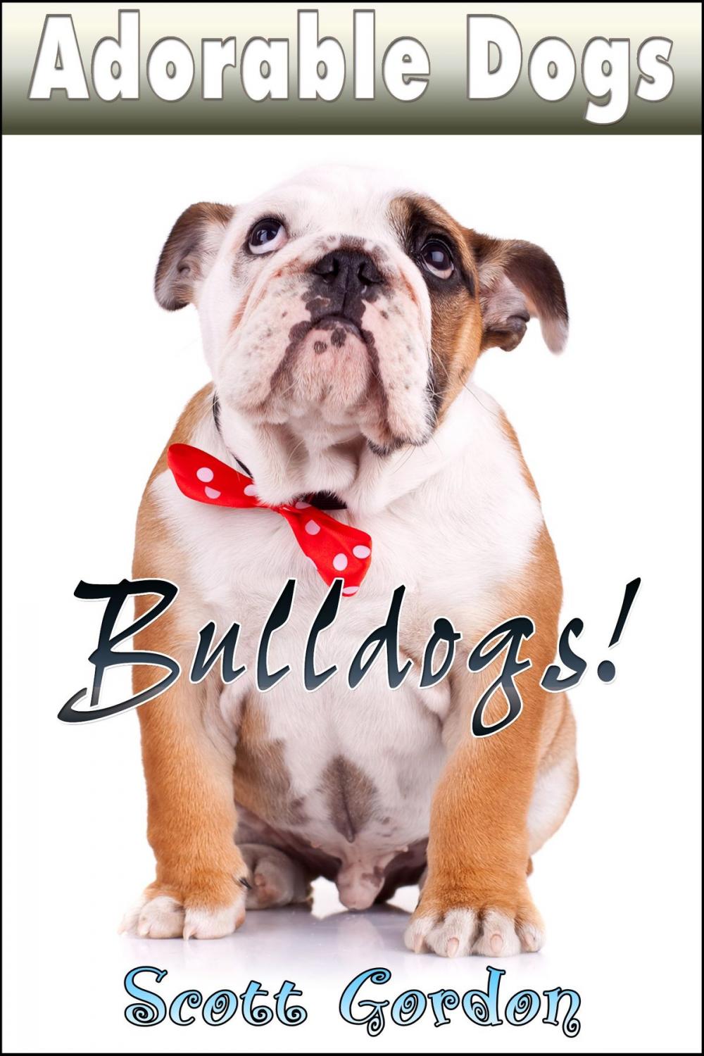 Big bigCover of Adorable Dogs: Bulldogs!