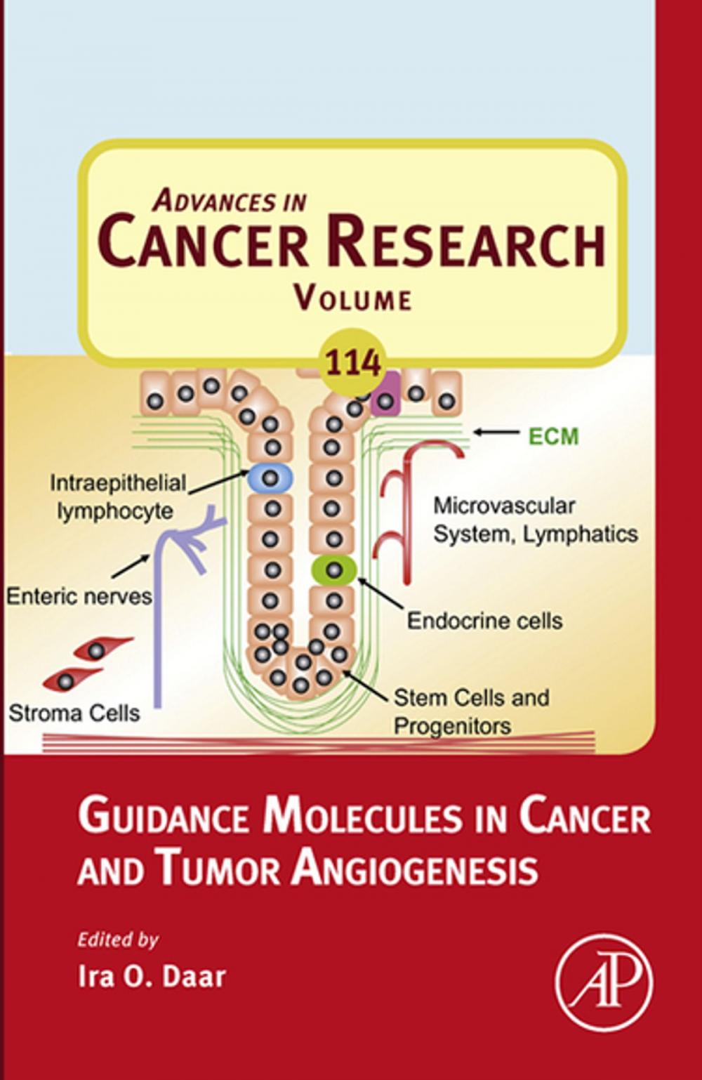 Big bigCover of Guidance Molecules in Cancer and Tumor Angiogenesis