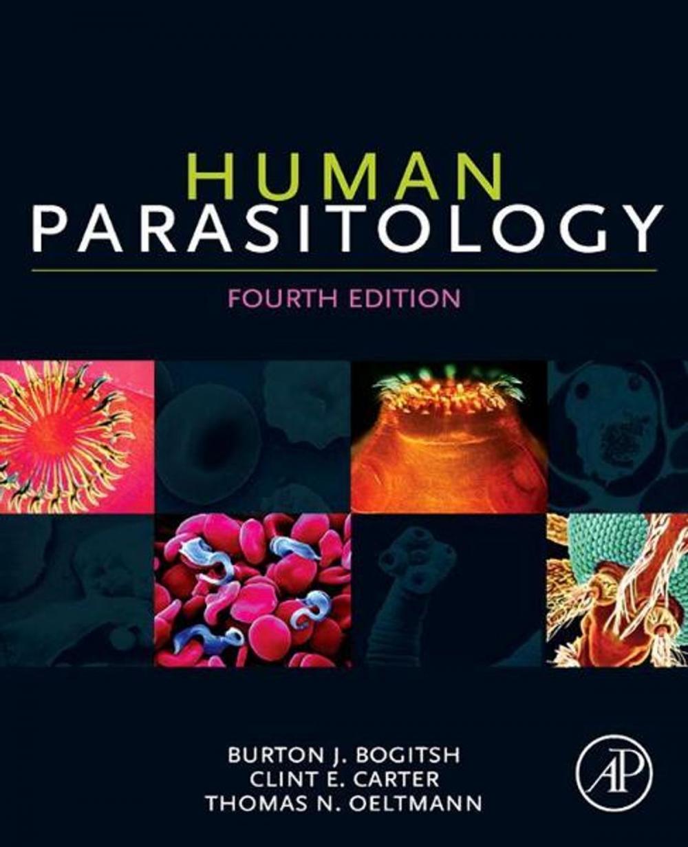 Big bigCover of Human Parasitology