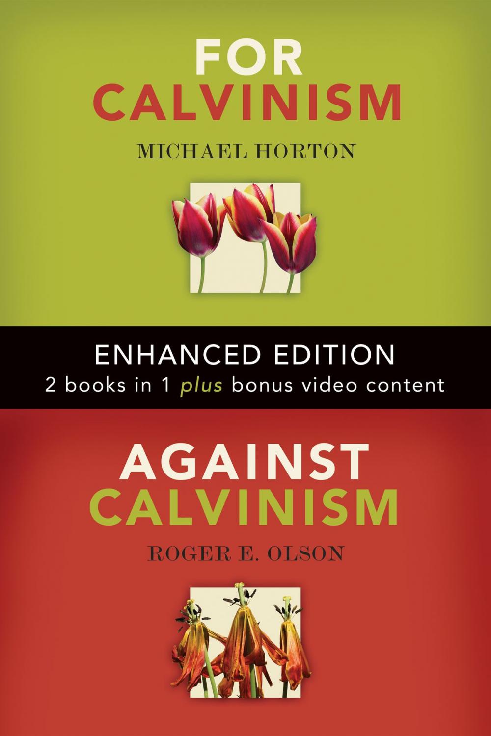 Big bigCover of For Calvinism / Against Calvinism (Enhanced Edition)